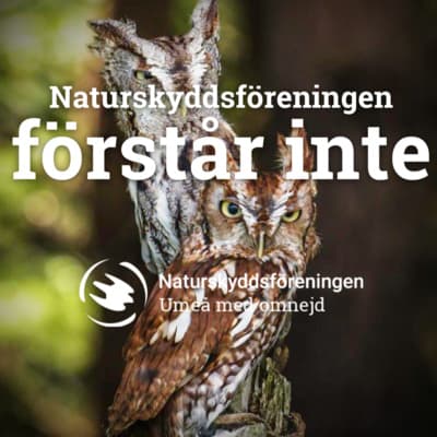 Naturskyddsföreningen förstår inte